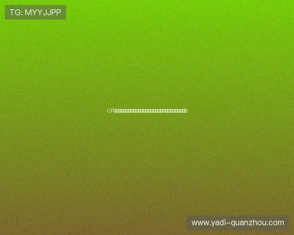 CF游戏人生热血征程与青春荣耀的巅峰对决传奇梦想征战之路再启新篇